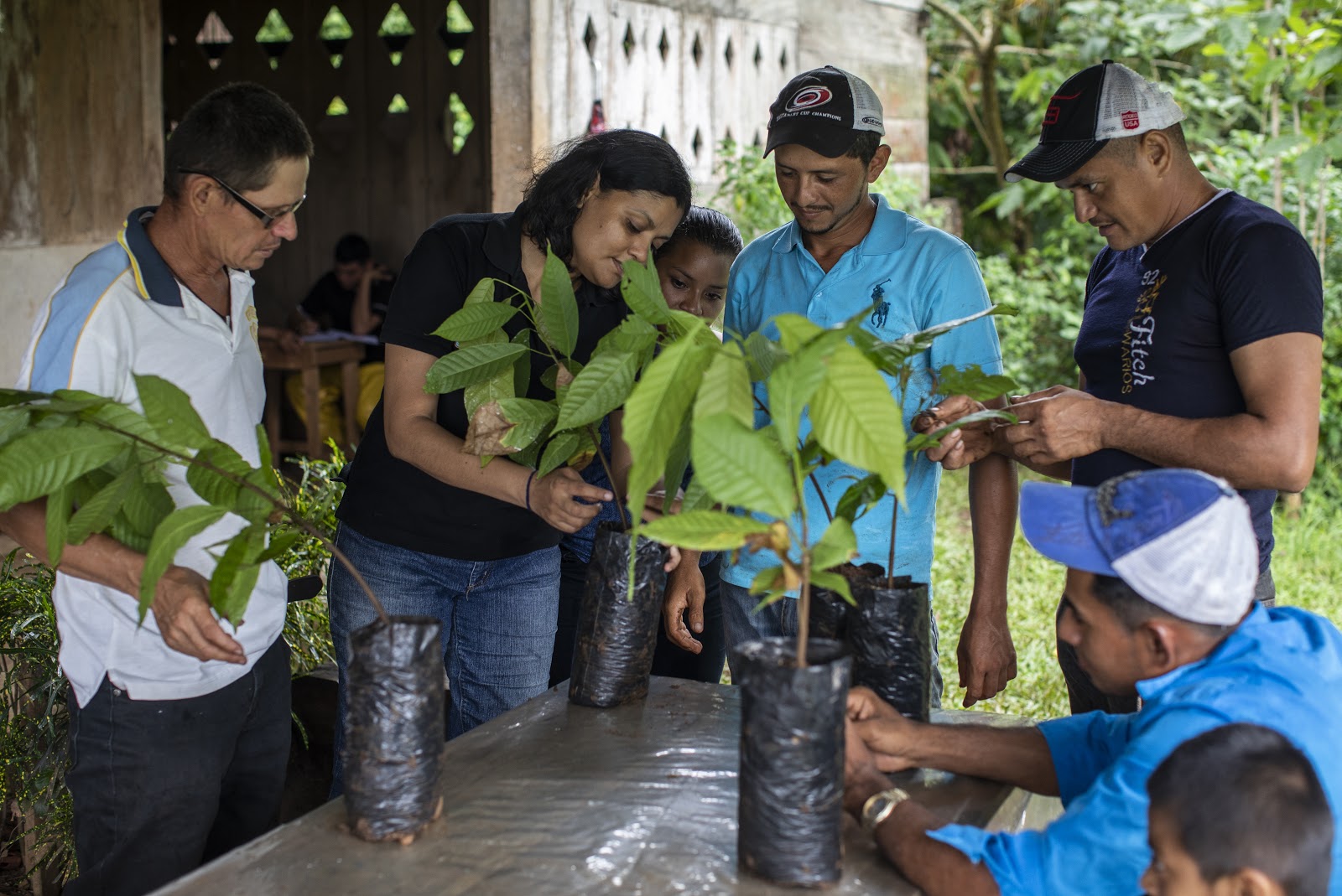 Cocoa training Solidaridad Nicaragua PaSos