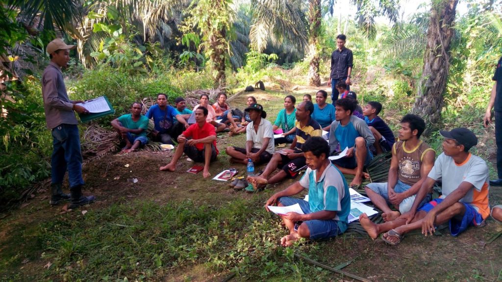 Palm oil training in Indonesia
