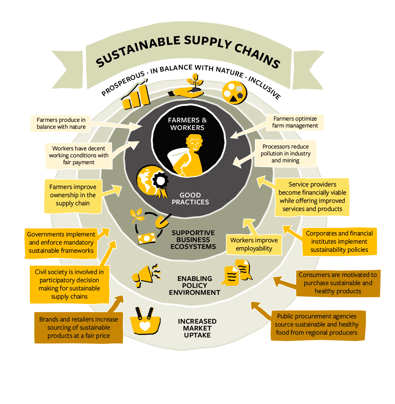 Strategy Solidaridad Network