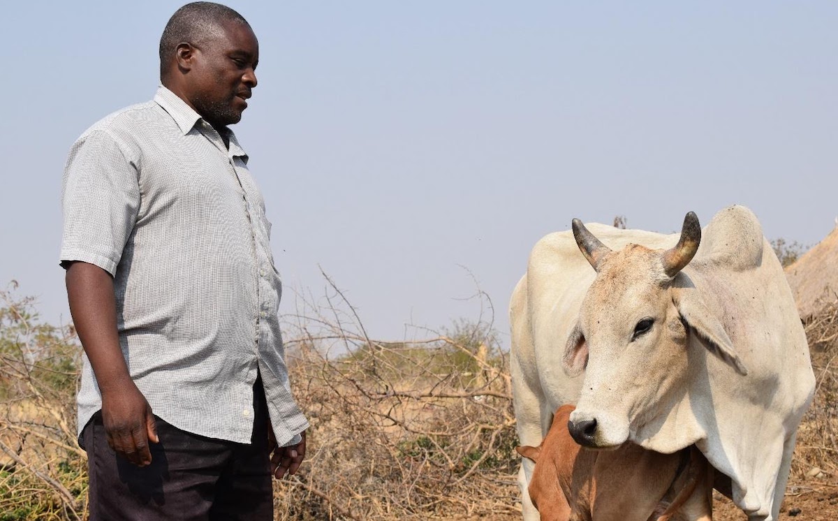 Sustainable livestock management improves livelihoods and landscapes in  Zambia - Solidaridad Network