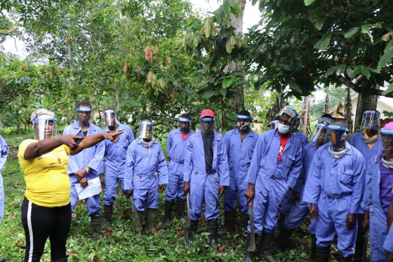 Community extension officers trained in cocoa production Solidaridad