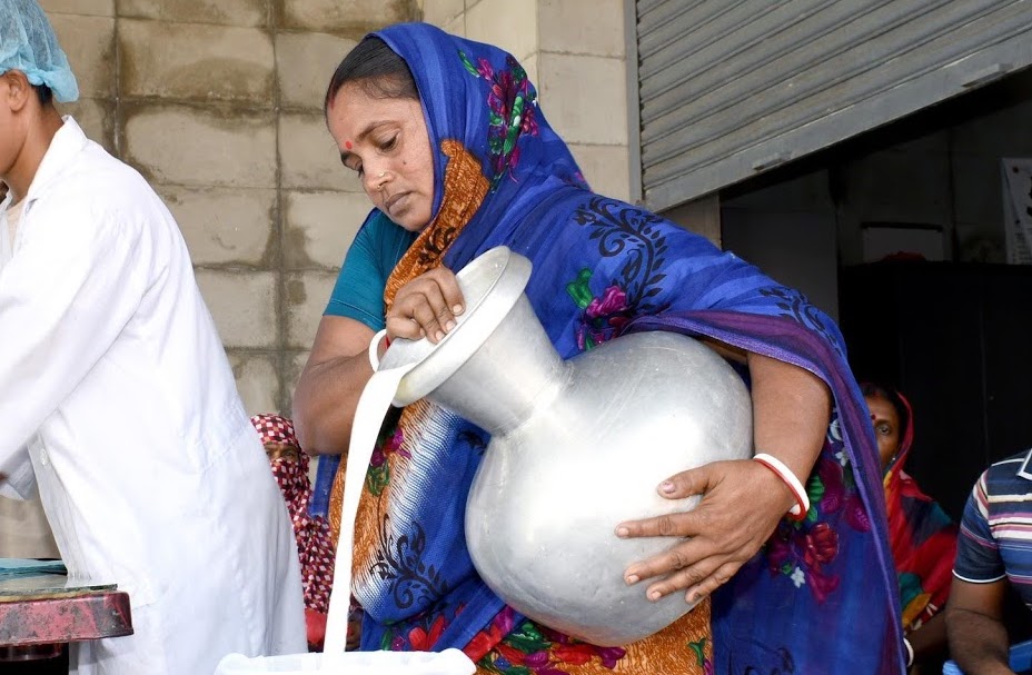 dairy farmer Bangladesh 