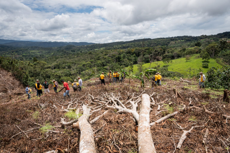 EU must urgently assess smallholder needs for deforestation regulation success