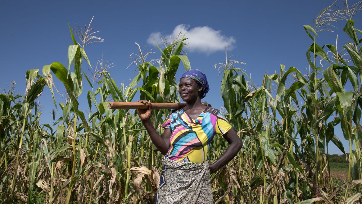 woman stands in an agricultural field in Mozambique; women are an integral part of food systems transformation