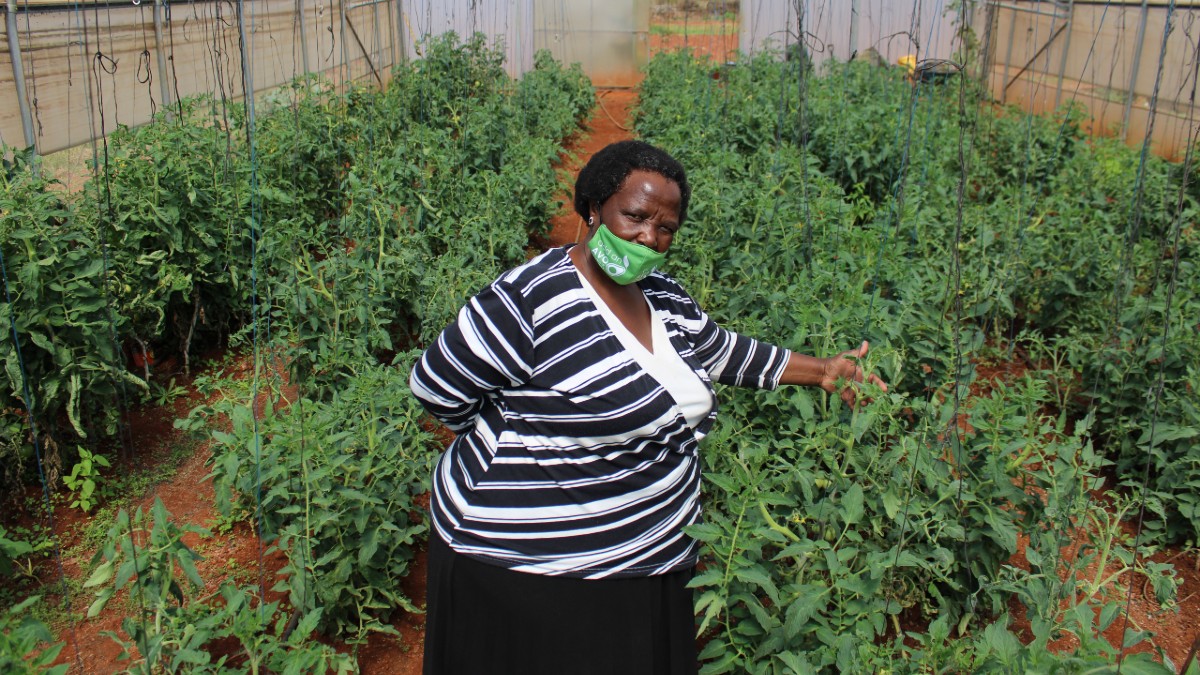 Gloria Mafojane stands in one of her farm tunnels.