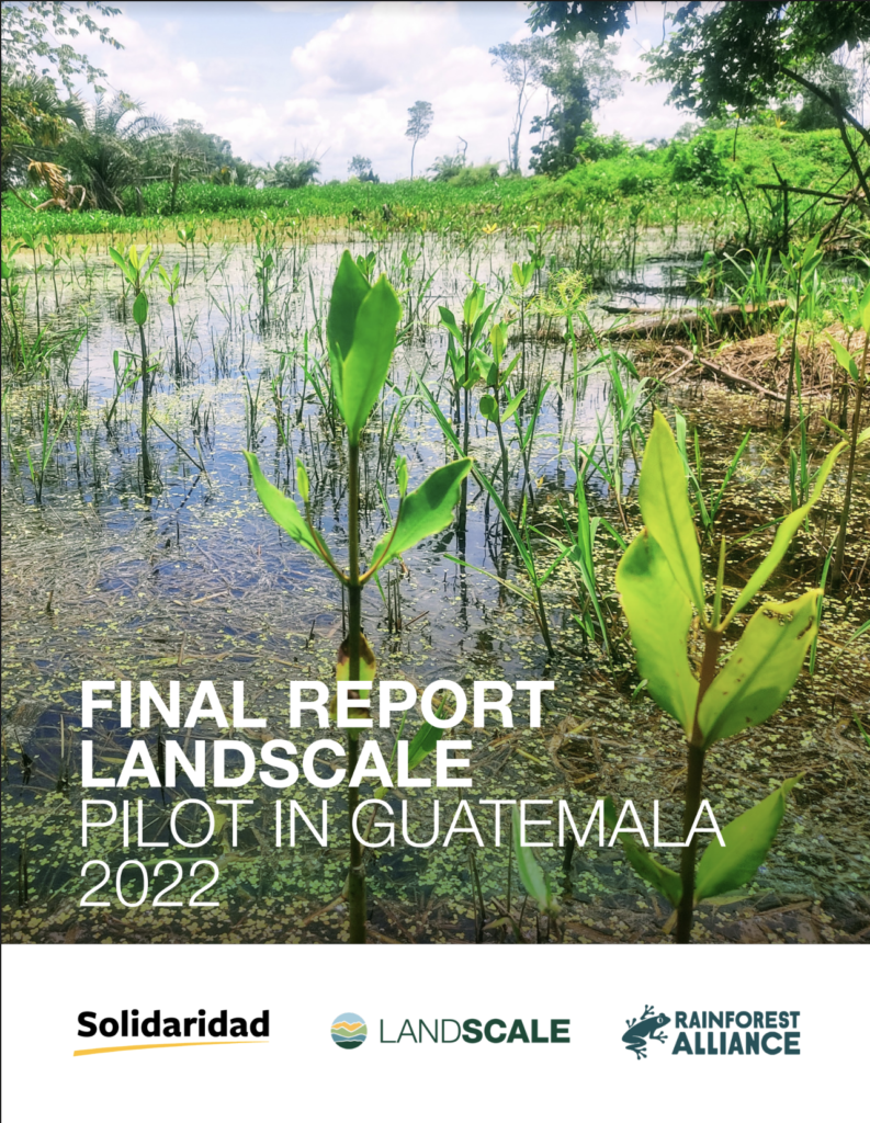 Report cover