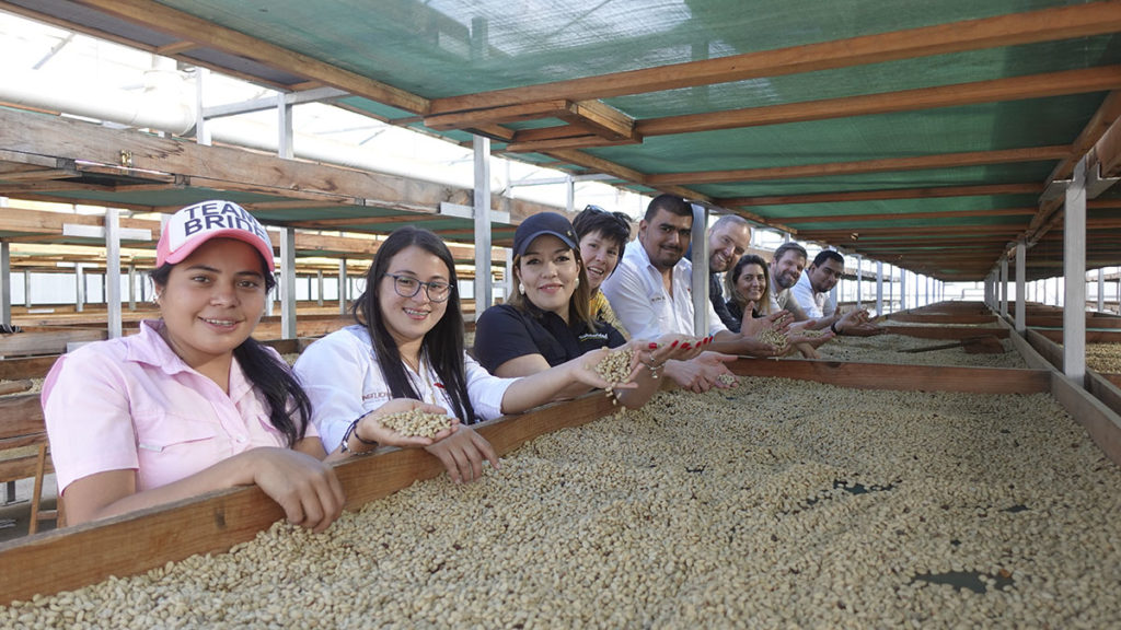 Members of Solidaridad, Fairfood and Capucas meet at the Honduran coffee plantation