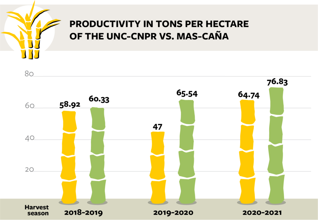 Productivity in tons per hectare of the UNC-CNPR compared to MAS-CAÑA.