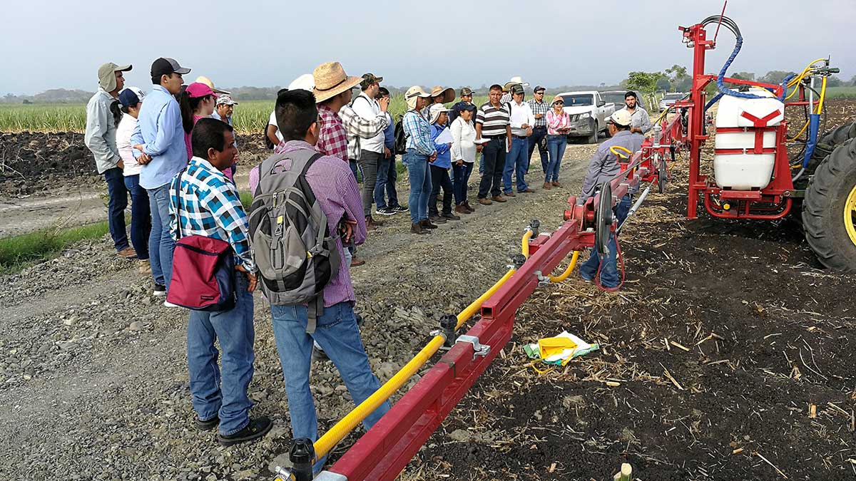 Small sugarcane producers discuss weed control at a demonstration of the MAS-CAÑA programme
