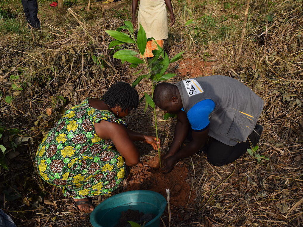 Solidaridad tecnico plants a tree with a community member in Executive Secretary Côte-d’Ivoire