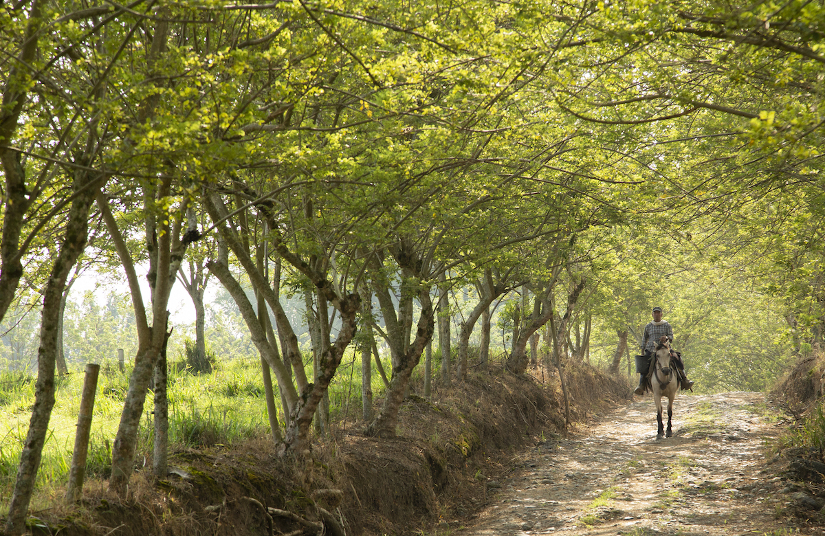 Farmer in Colombia on a path