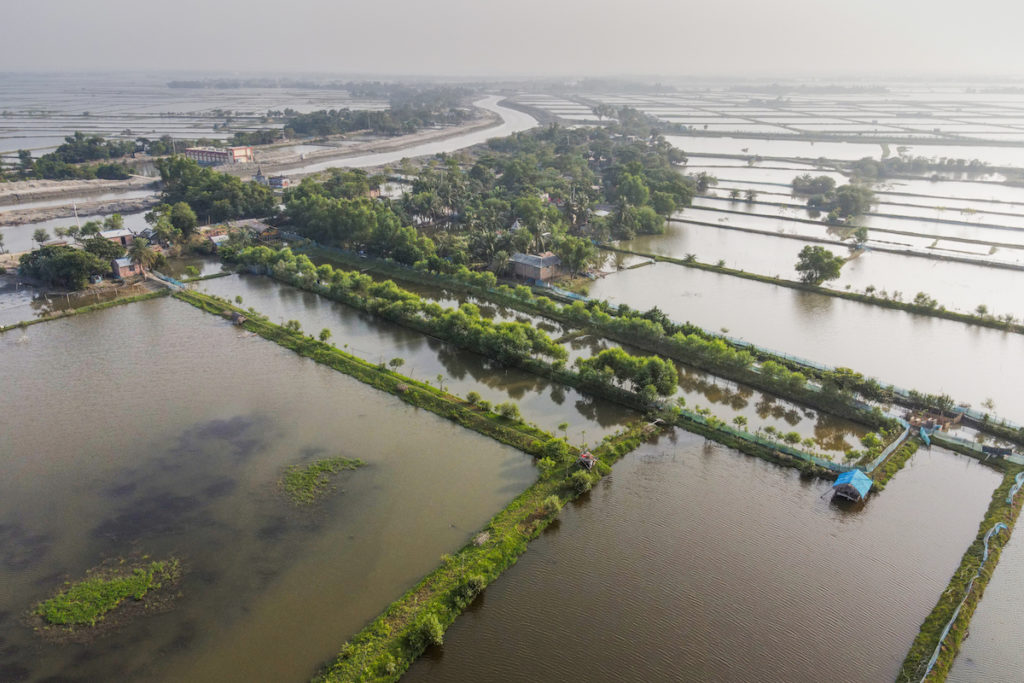 Coastal farmland in Bangladesh