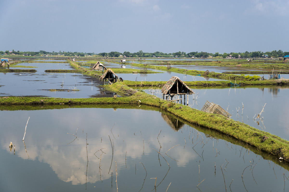 Coastal farmland in Bangladesh