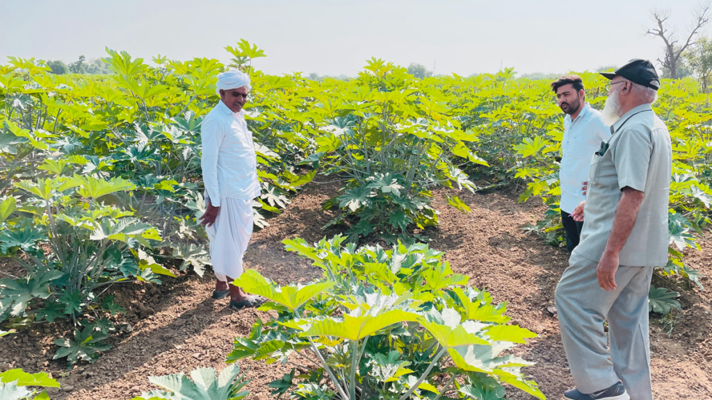 Pragati encourages farmers to adopt good agricultural practices to increase crop yield and income