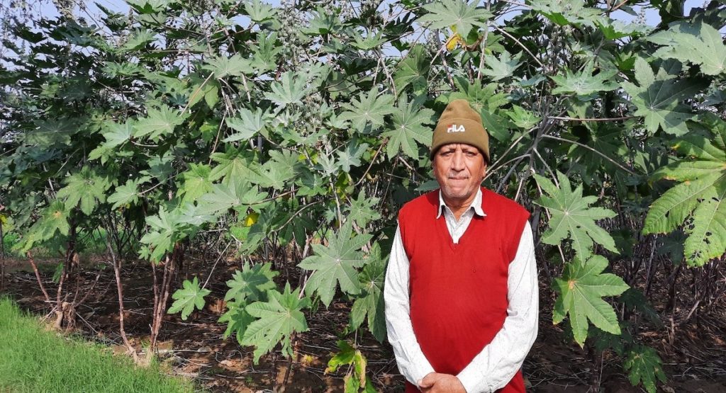 Patel Prahladbhai Tribhovandas, a beneficiary of Pragati, in his farm in Amudh village in Mehsana district, Gujarat, India