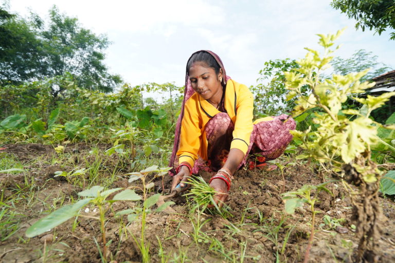 Supply chains can’t ignore 150 million small farmers, India needs a fair farm data standard