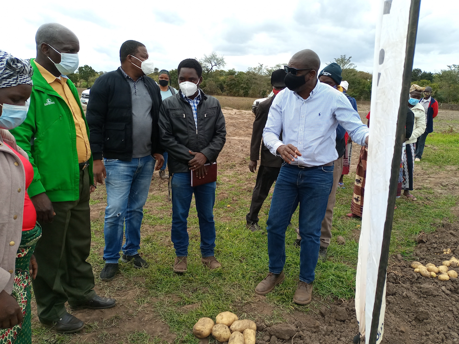 Potato farmers in Mozambique train in good agricultural practices