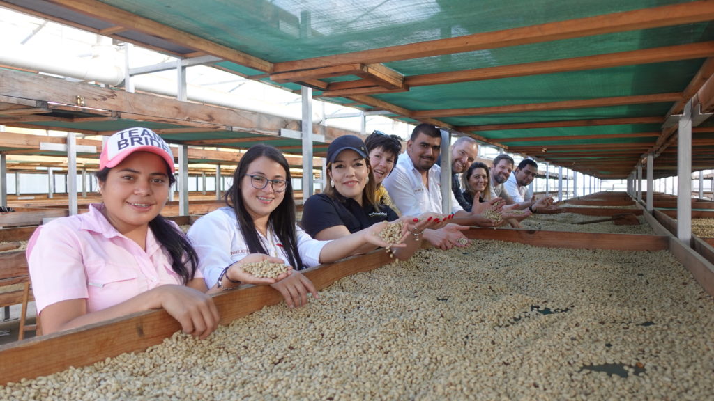 digital innovation women coffee Honduras