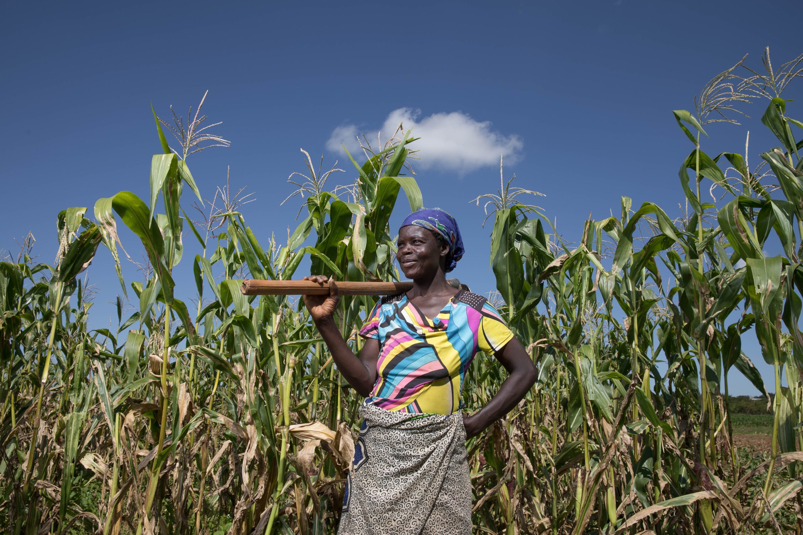 female farmer in the field Mozambique