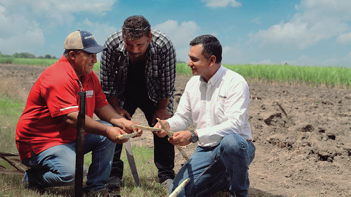 training sugarcane farmers in Mexico