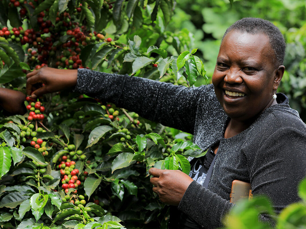 Mary Wairimu Oloo is a coffee farmer who lives in Kenya’s Trans Nzoia County