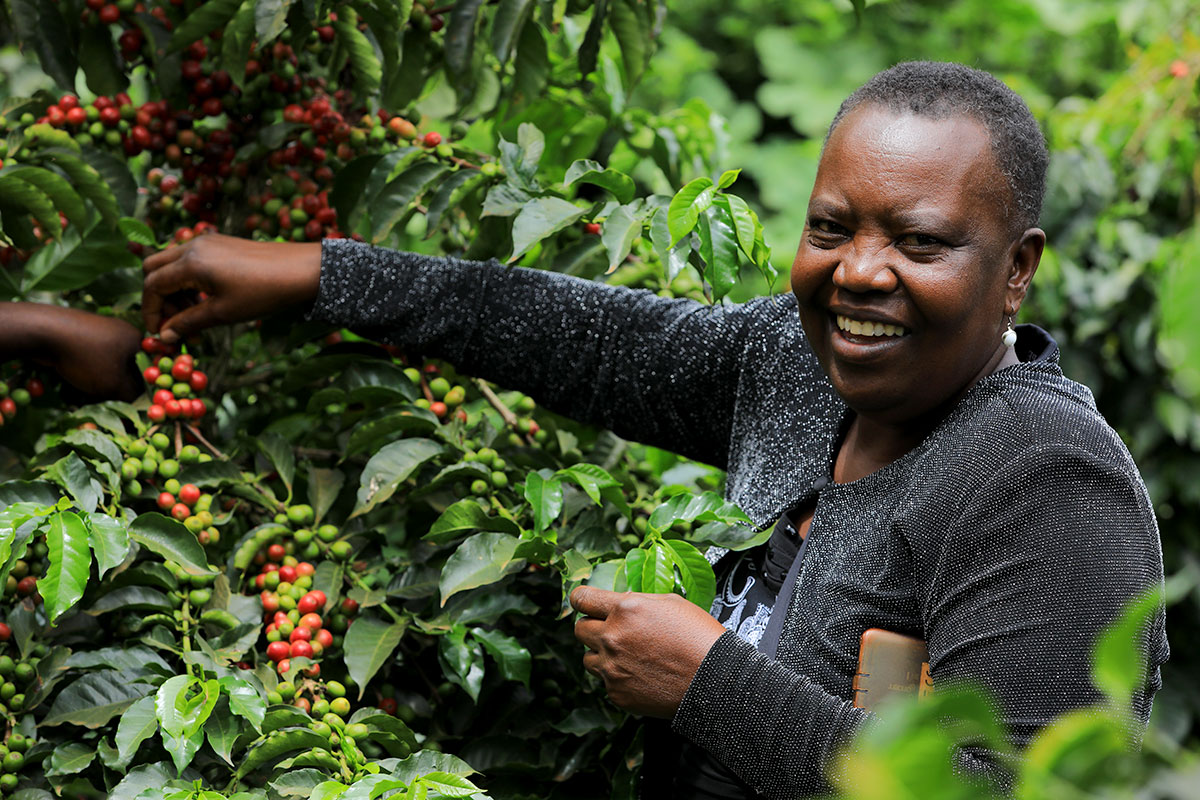 Mary Wairimu Oloo is a coffee farmer who lives in Kenya’s Trans Nzoia County