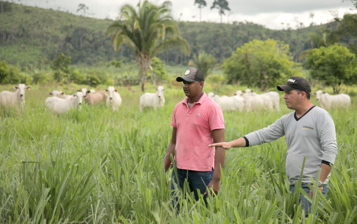 An agricultural advisor works with a cattle farmer to improve his practices in the Brazilian Amazon