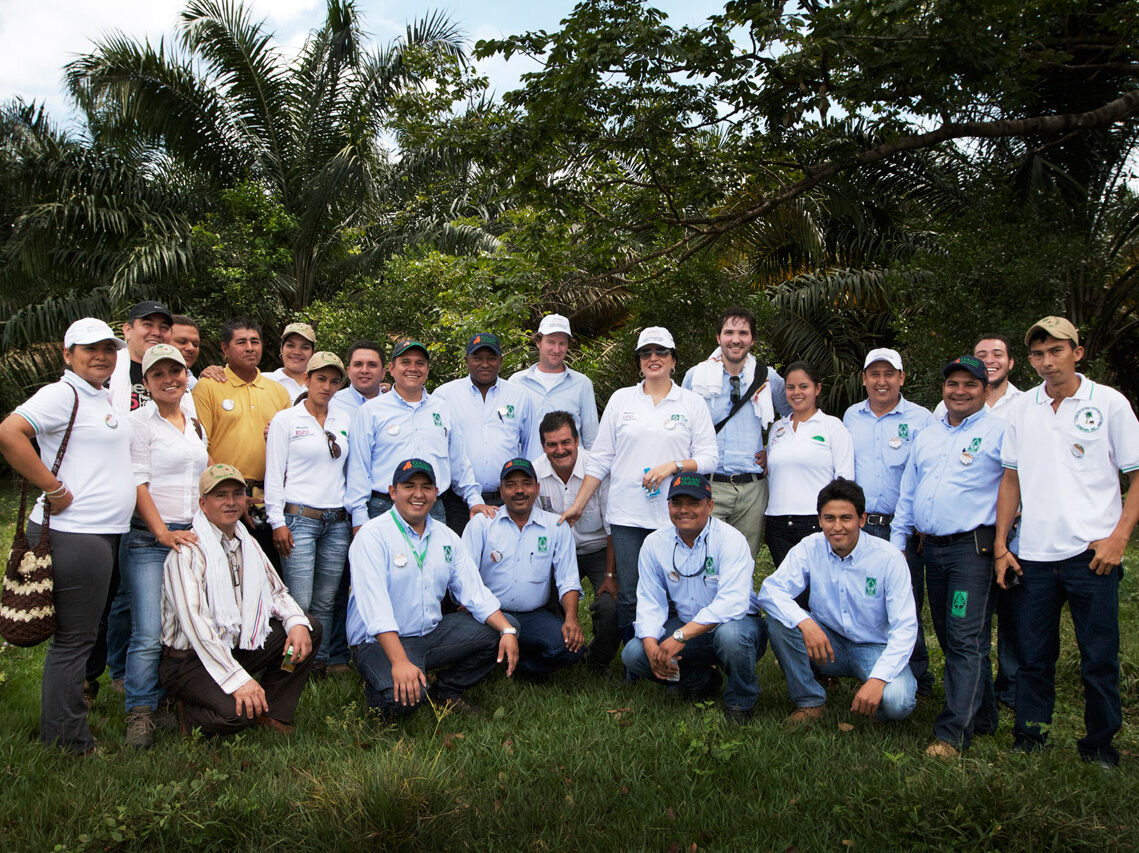 Palm oil South America