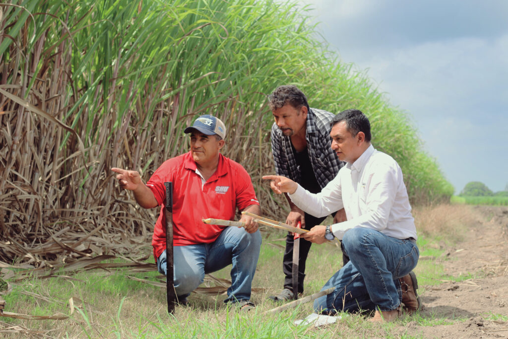Sugarcane workers Mexico Field Training