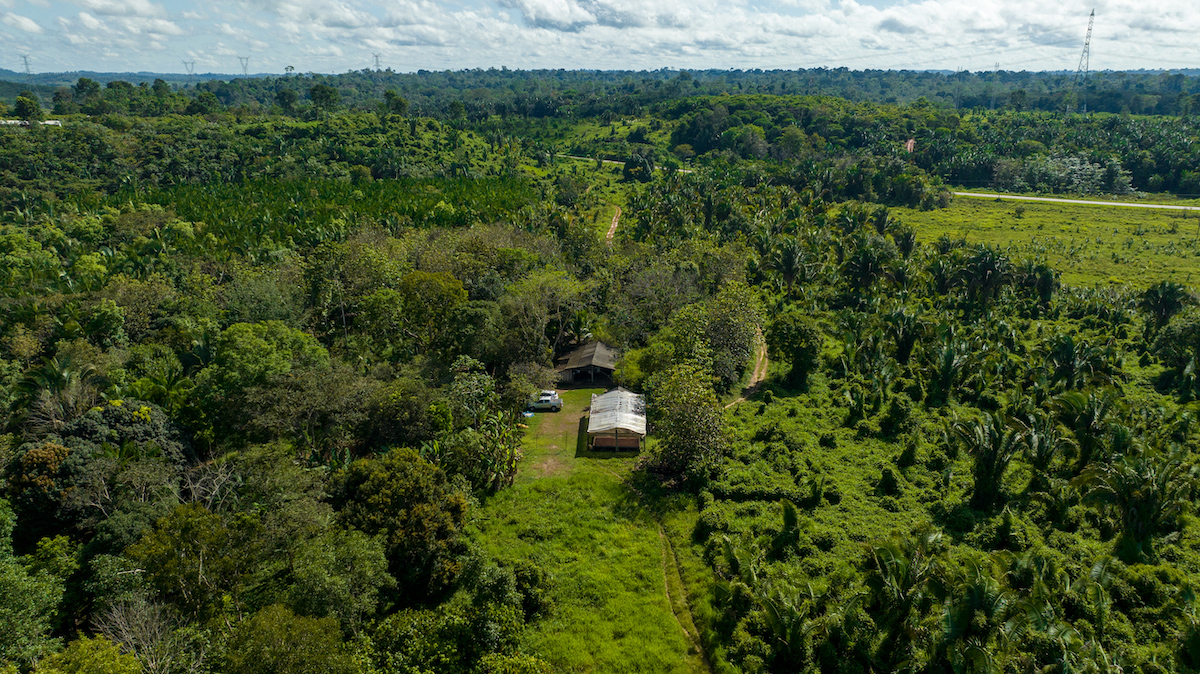 Farm in Brazil