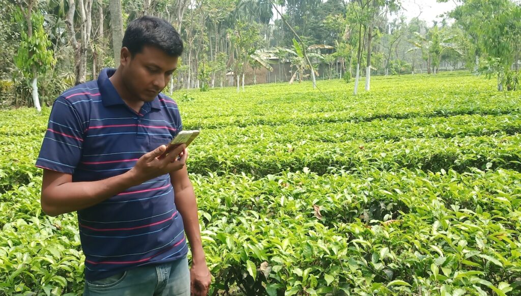 Bibek Sen, tea farmer in India, uses digital tools to improve his farm.