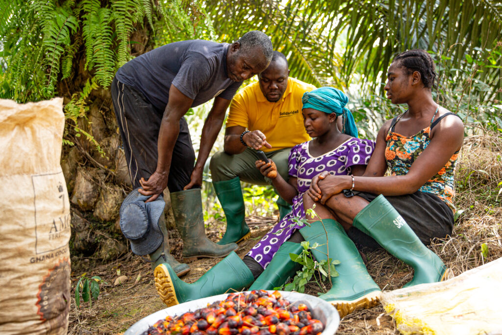 Harvest Alert West Africa