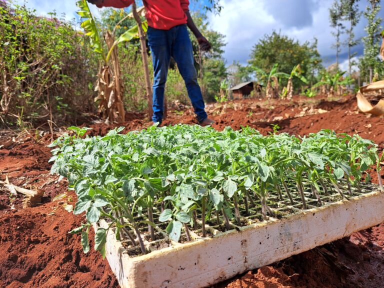 In a new video series Kenyan farmers highlight the challenges they face