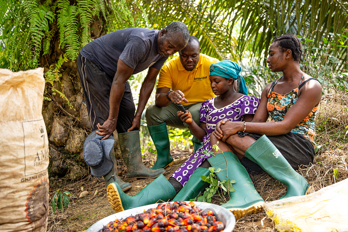 Farmers in Western Ghana receive training on how to use the Harvest Alert digital tool