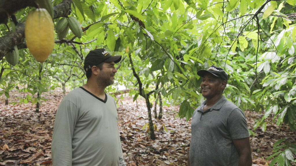 Working together in cocoa to institute low-carbon agriculture in Brazil