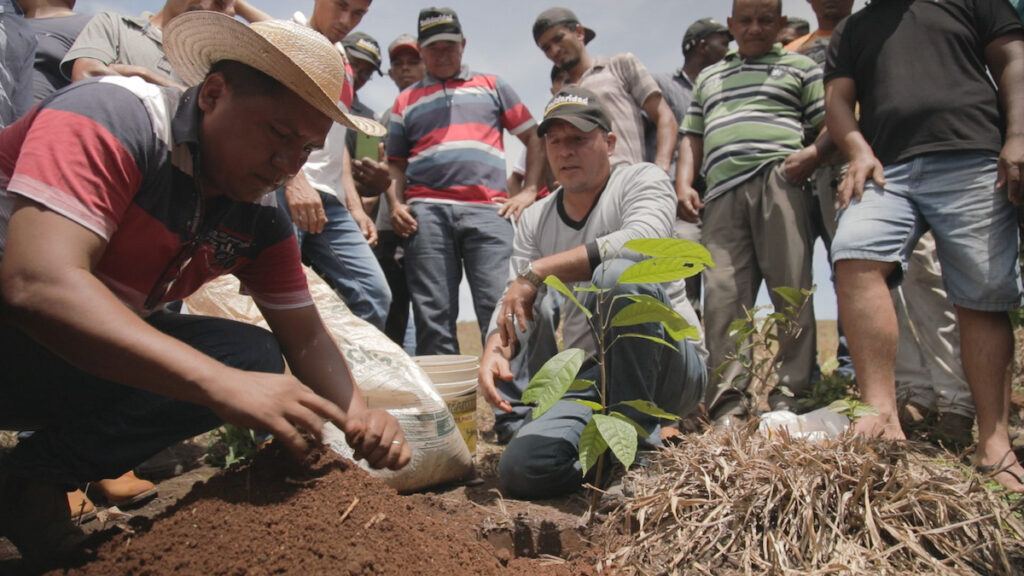 Low-carbon agriculture practices can help small-scale farmers improve productivity and protect the environment