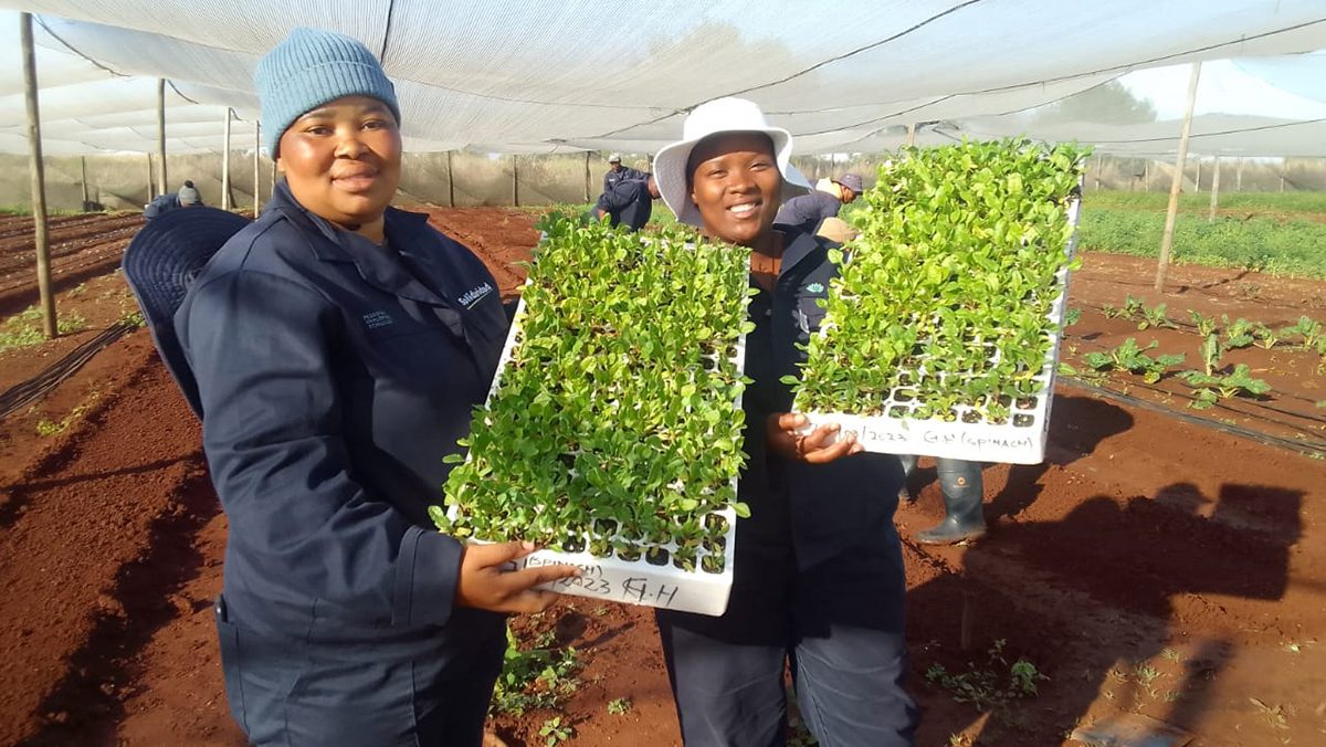 Participants from the Social Employment Fund Project show off their crops