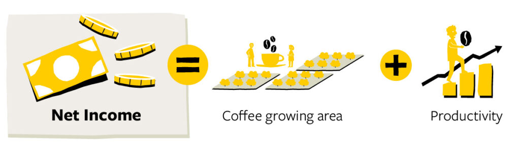 Graphic showing that net income equals the coffee growing area + productivity