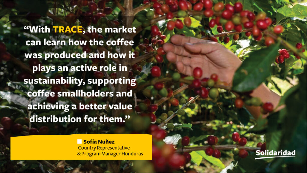 Graphic with a quote that reads: "With TRACE, the market can learn how the coffee was produced and how it plays an active role in sustainability, supporting coffee smallholders and achieving a better value distribution for them." by Sofia Núñez Country Representative & Program Manager in Honduras