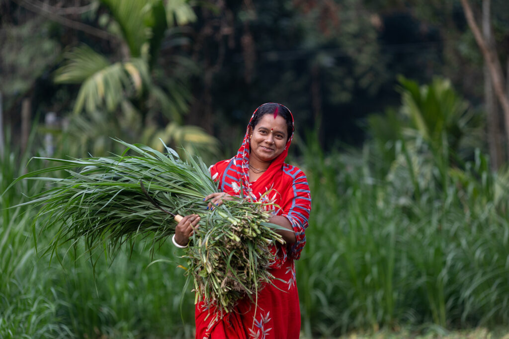Woman harvesting in Bangladesh