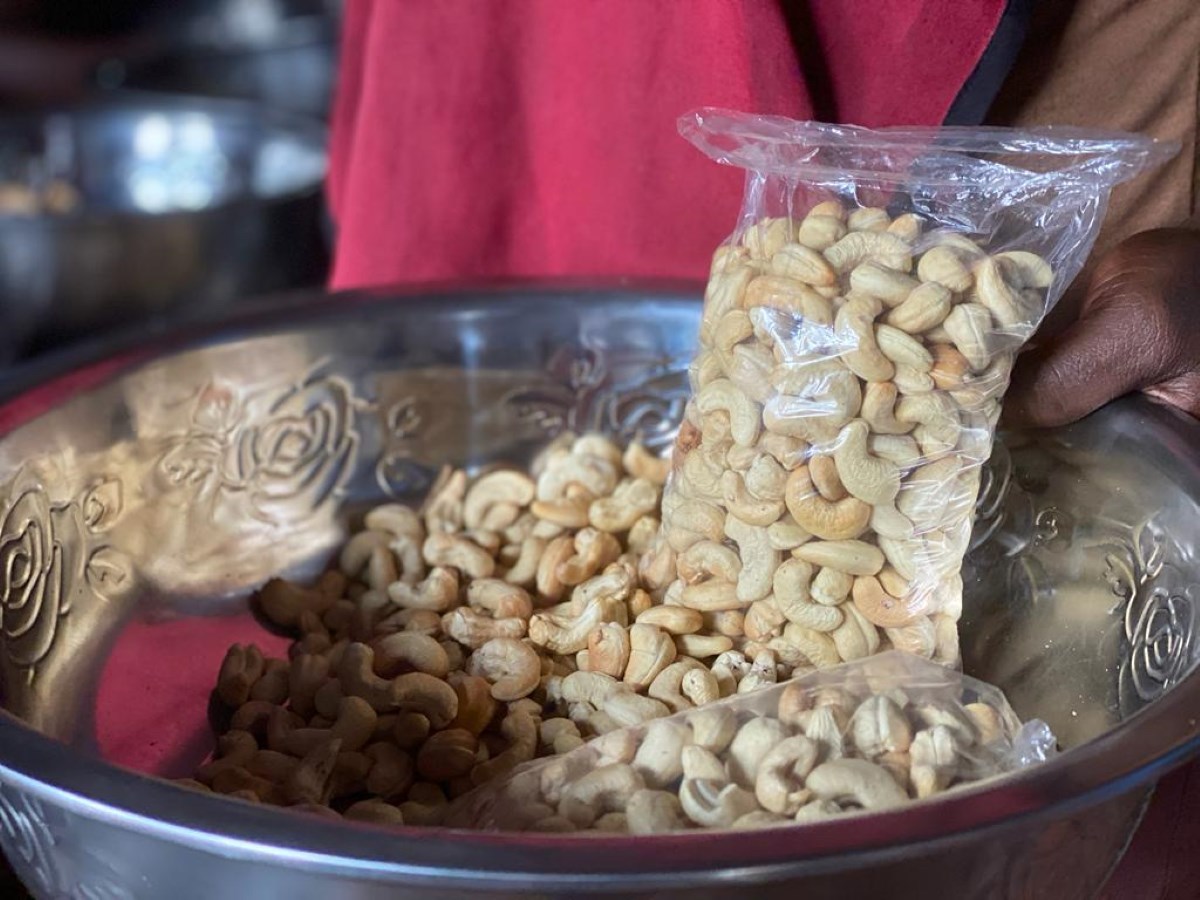 Sierra Leone-new cashew factory-processed cashew