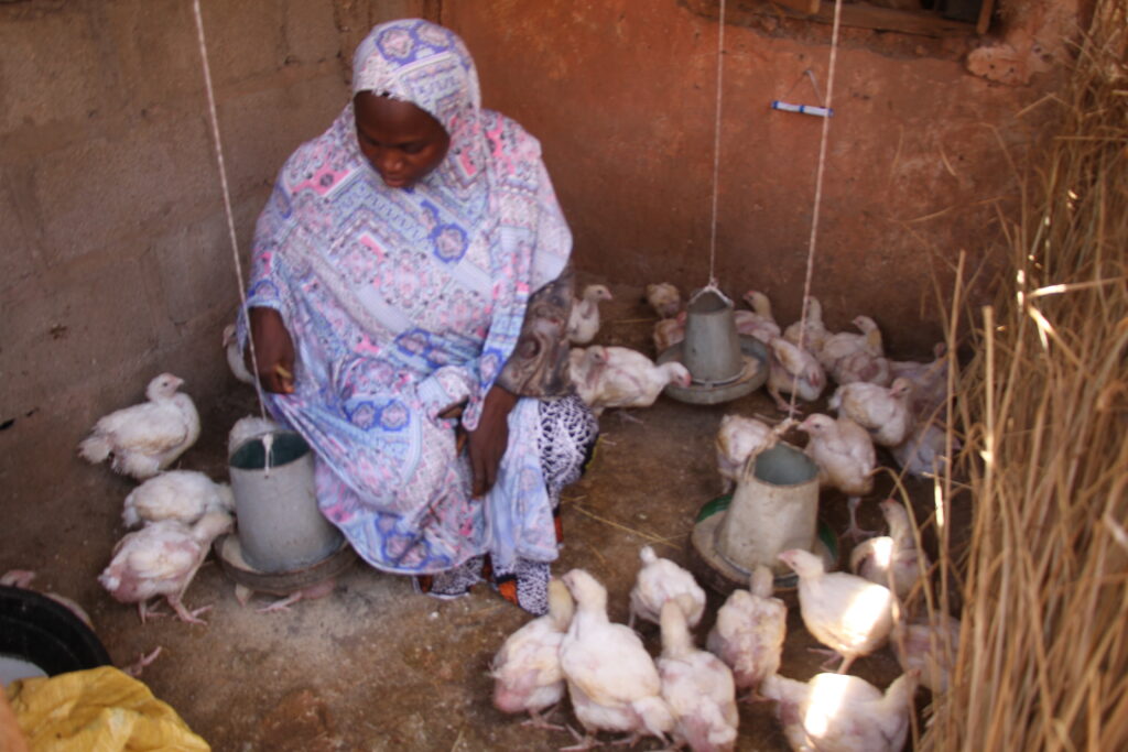 Binta Abdulrahman tends to her poultry