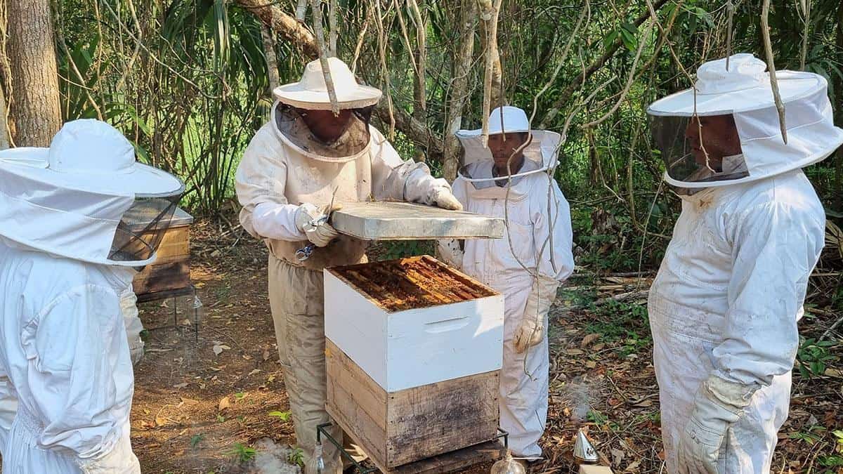 Community Beekeeping Project Public-Private Partnerships Achieve Breakthroughs in Biodiversity ...