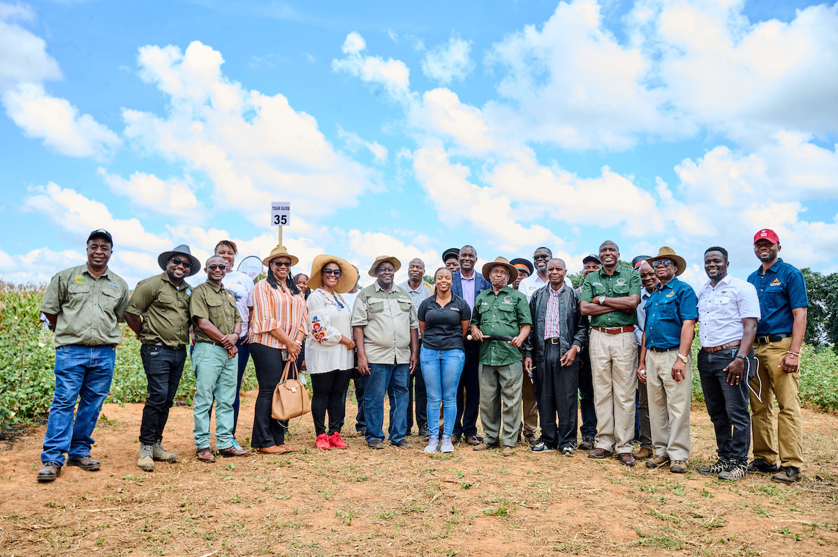 zambia-cotton-policy-team-solidaridad