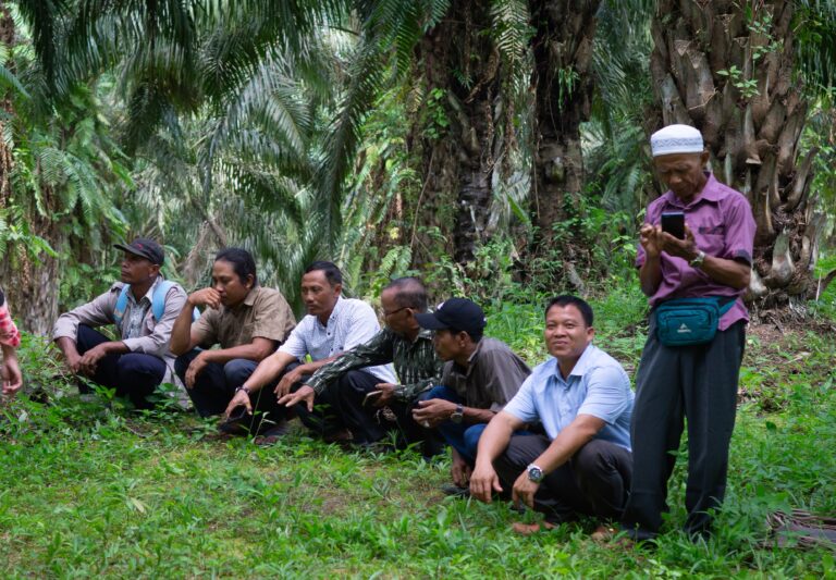 Palm oil farmers and Solidaridad staff