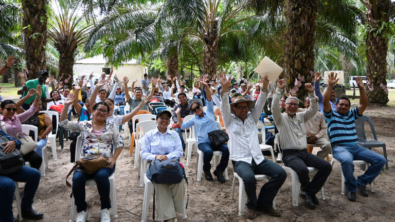 Solidaridad Latin America and RSPO form alliance for sustainable palm oil