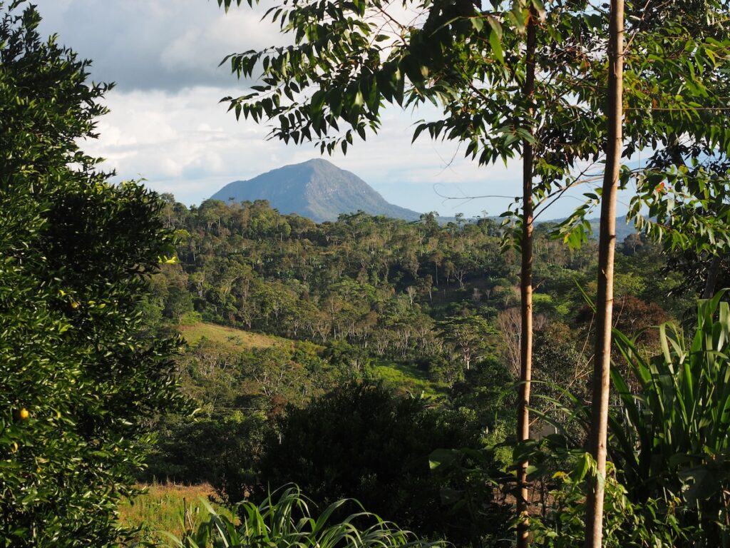 landscape image of Moyobamba, Peru