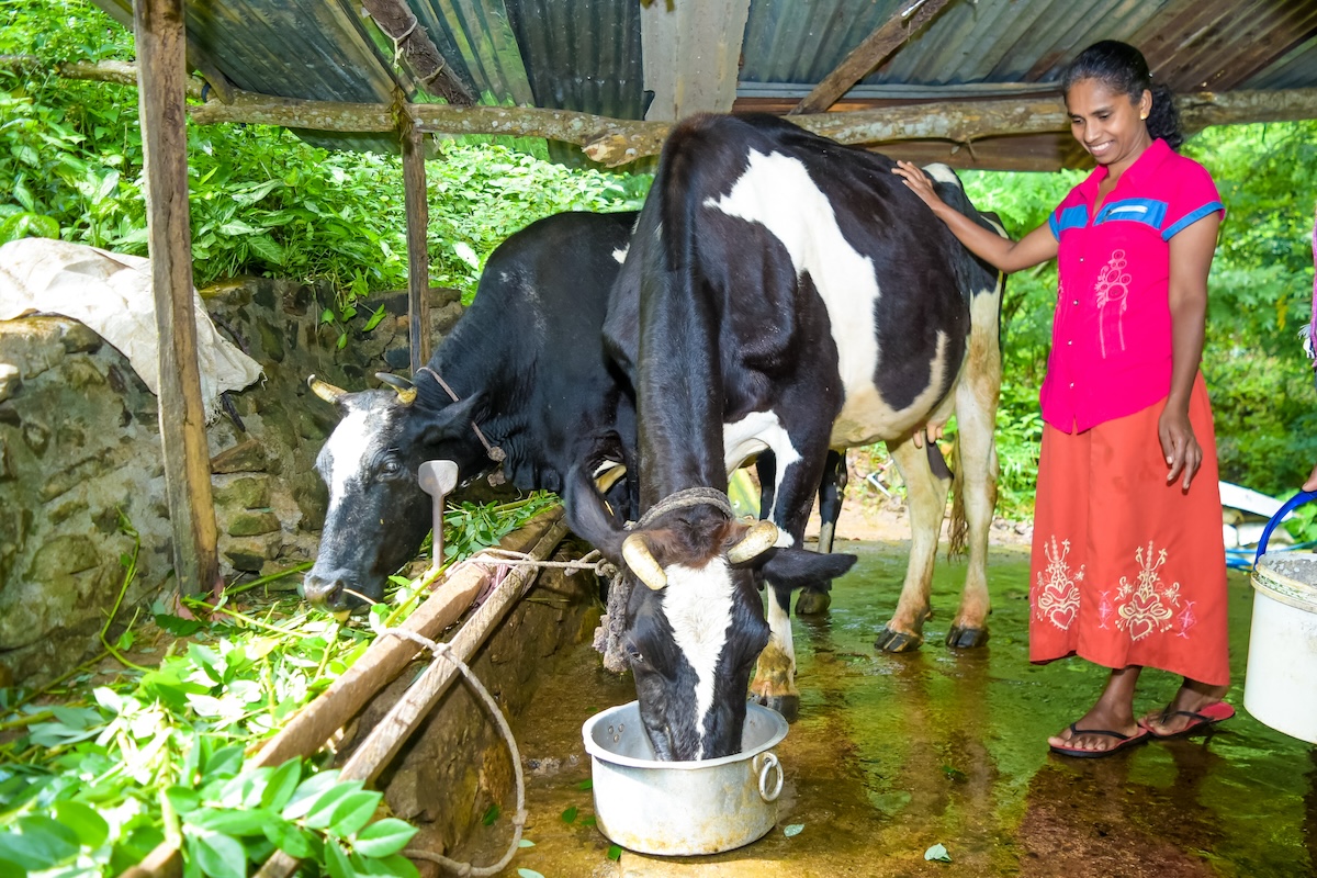 Karunawathi Jayasundara of Sri Lanka