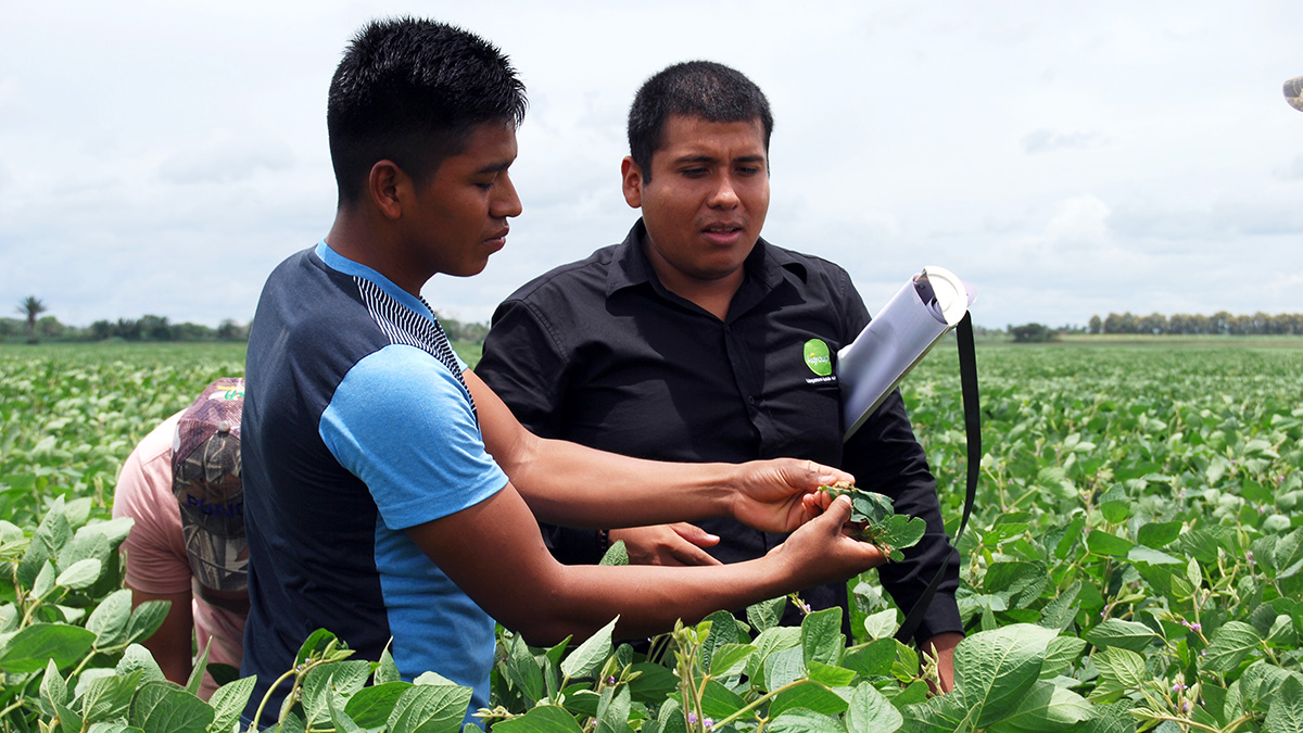 'Soya Sostenible' project in partnership with Cargill in Bolivia