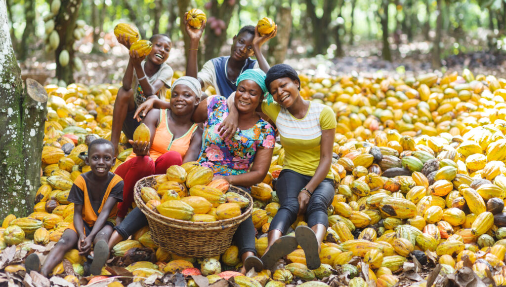 Cocoa farmers - Kate-Okyeso Nyame Ne Wo Company